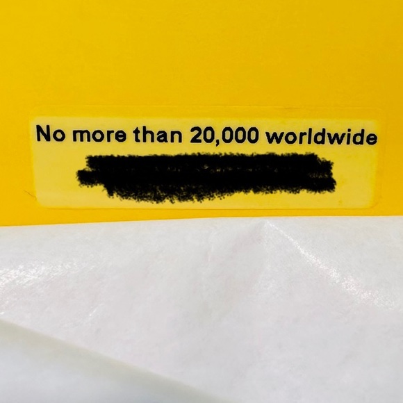 BNWT COLLECTOR ITEM “BEE” 🐝 BARBIE X RYDEN DOLL SOLD OUT NO MORE PRINTS! - Picture 4 of 8